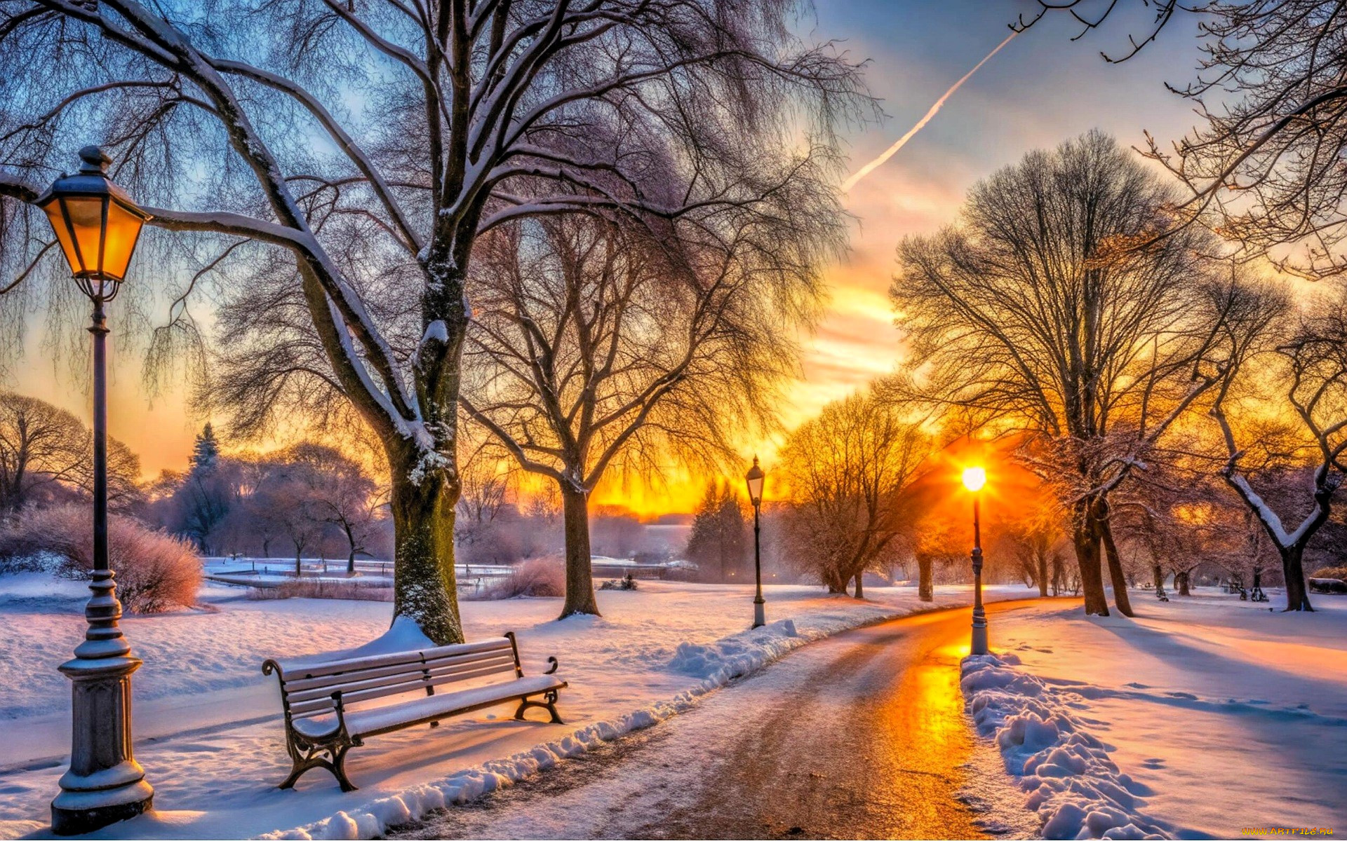 3 ,  , nature, , , , , , , 